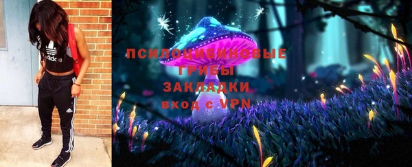 сатива Алексеевка