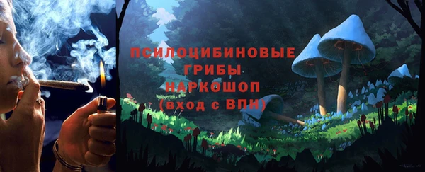сатива Алексеевка